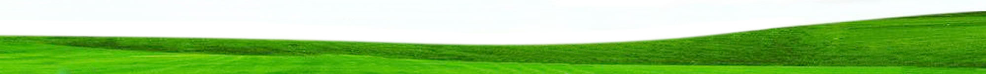 穩定土設備 - 阜新金和環保設備有限公司